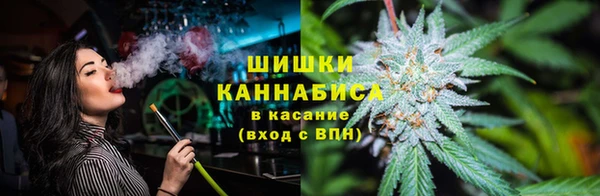 хмурый Зеленокумск