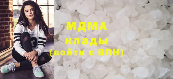 spice Инта