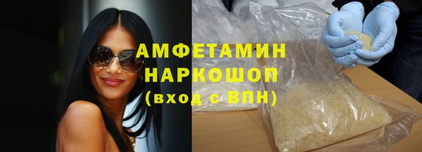 spice Инта