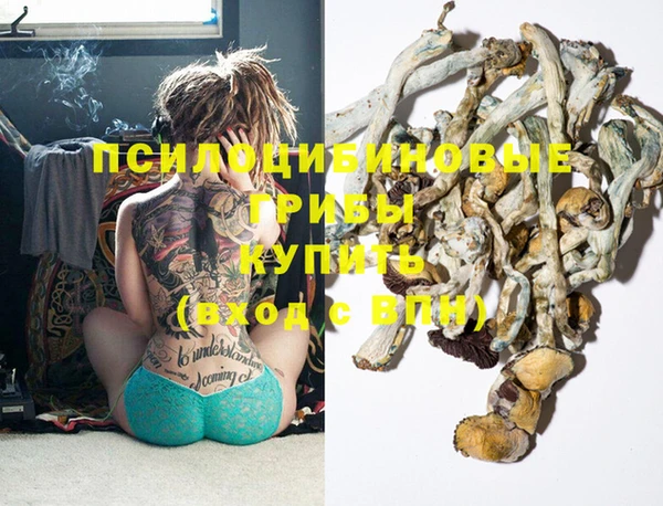 дмт Иннополис