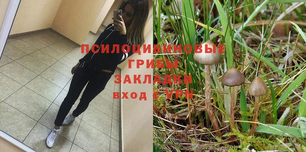 дмт Иннополис