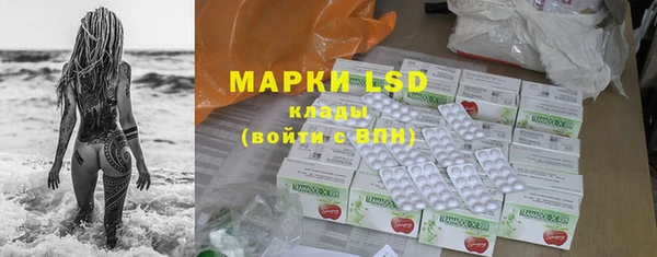 хмурый Зеленокумск