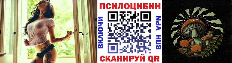 купить наркоту  Кингисепп  Галлюциногенные грибы прущие грибы 
